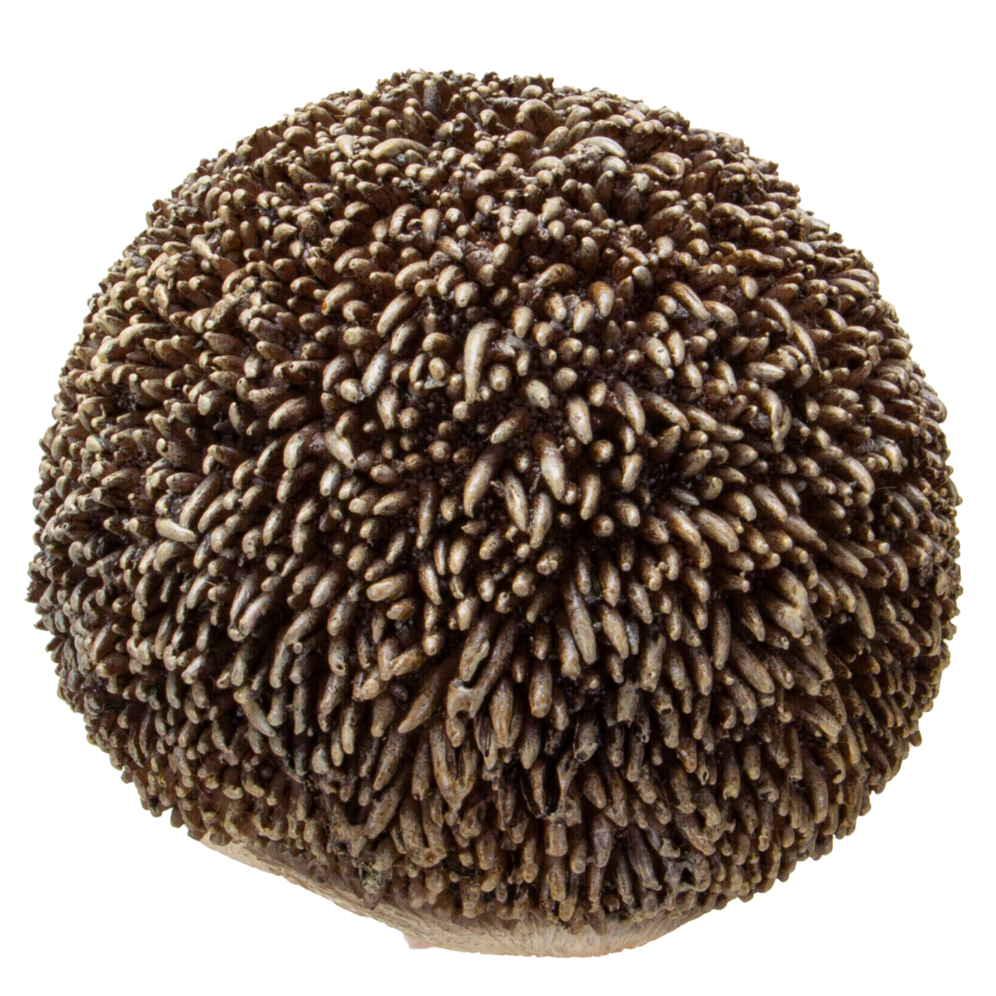 Realistic Adorable Hedgehog Pet Resin Figurine Statue