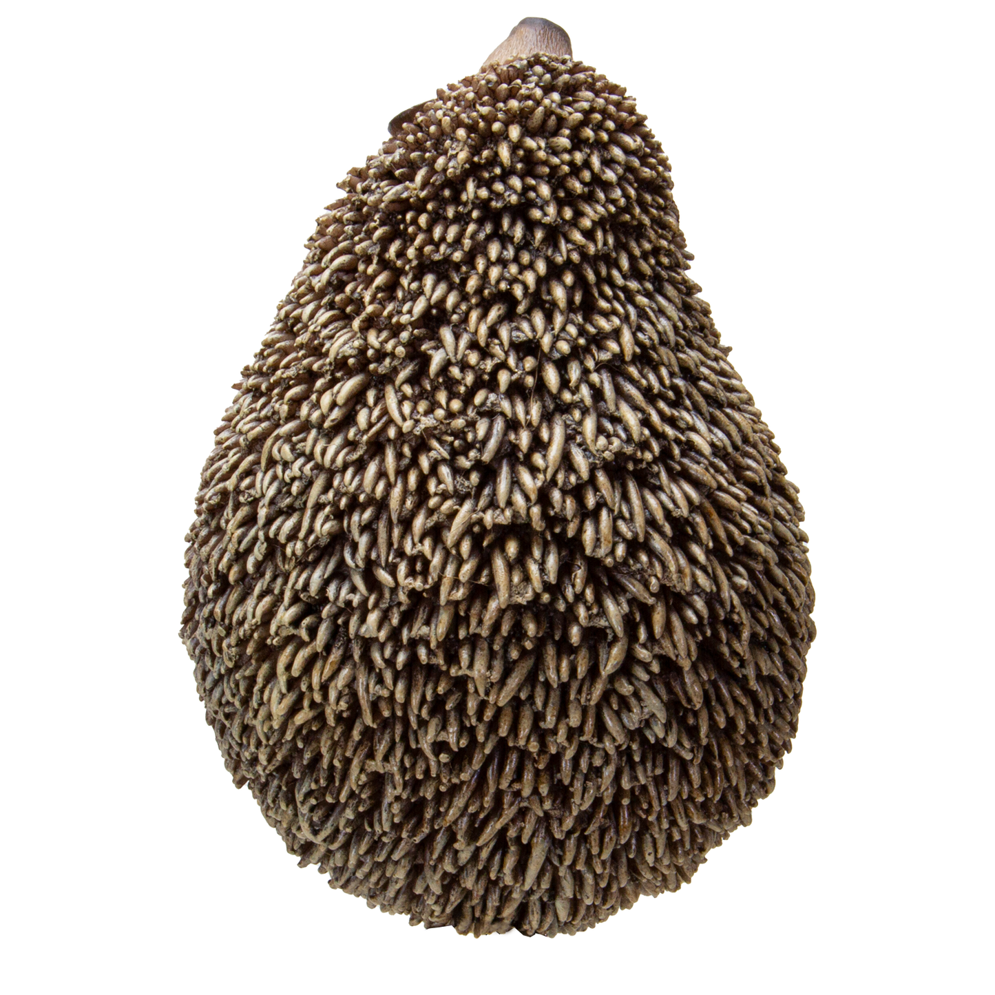 Realistic Adorable Hedgehog Pet Resin Figurine Statue