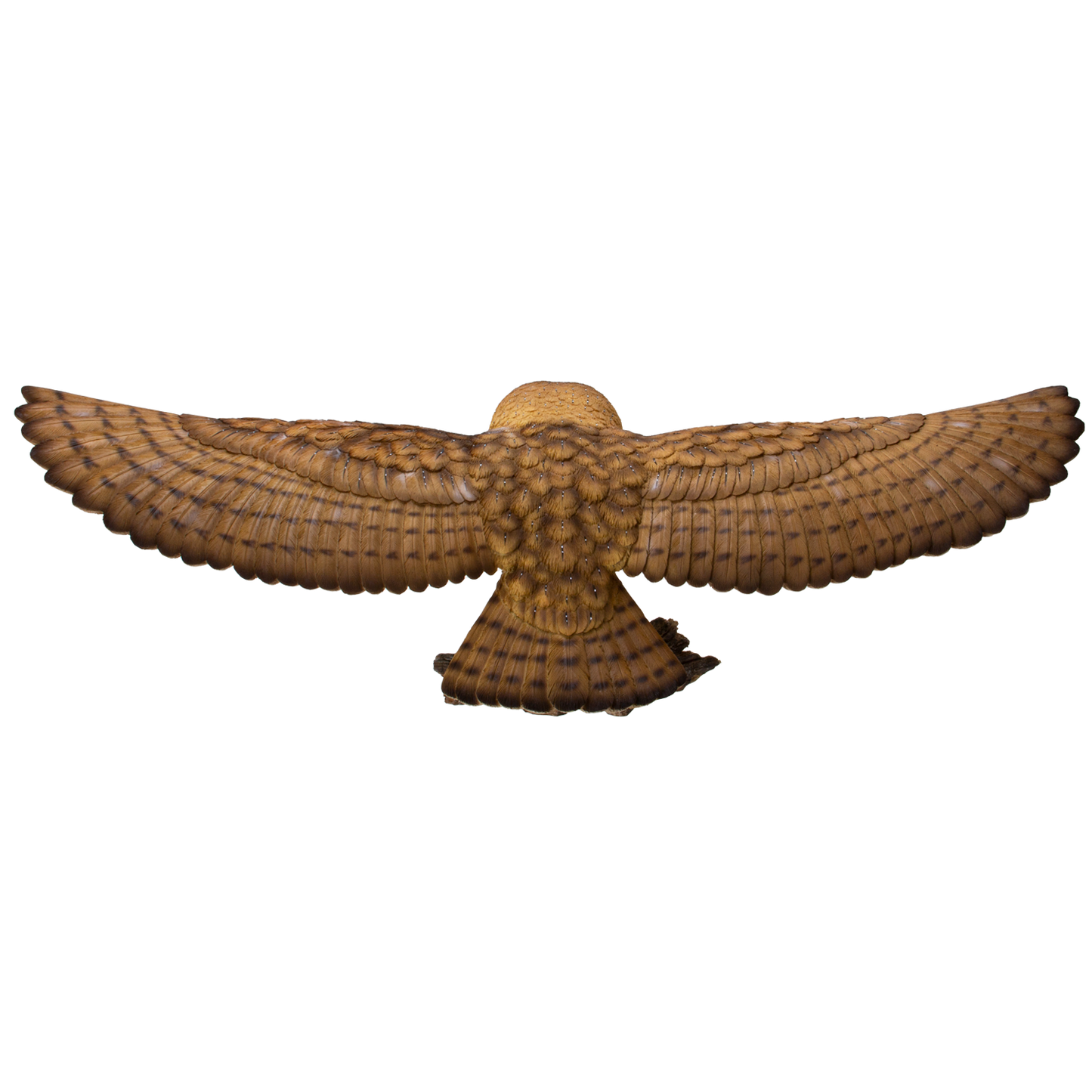 Animal World Flying Open Wing Barn Owl Figurine Statue