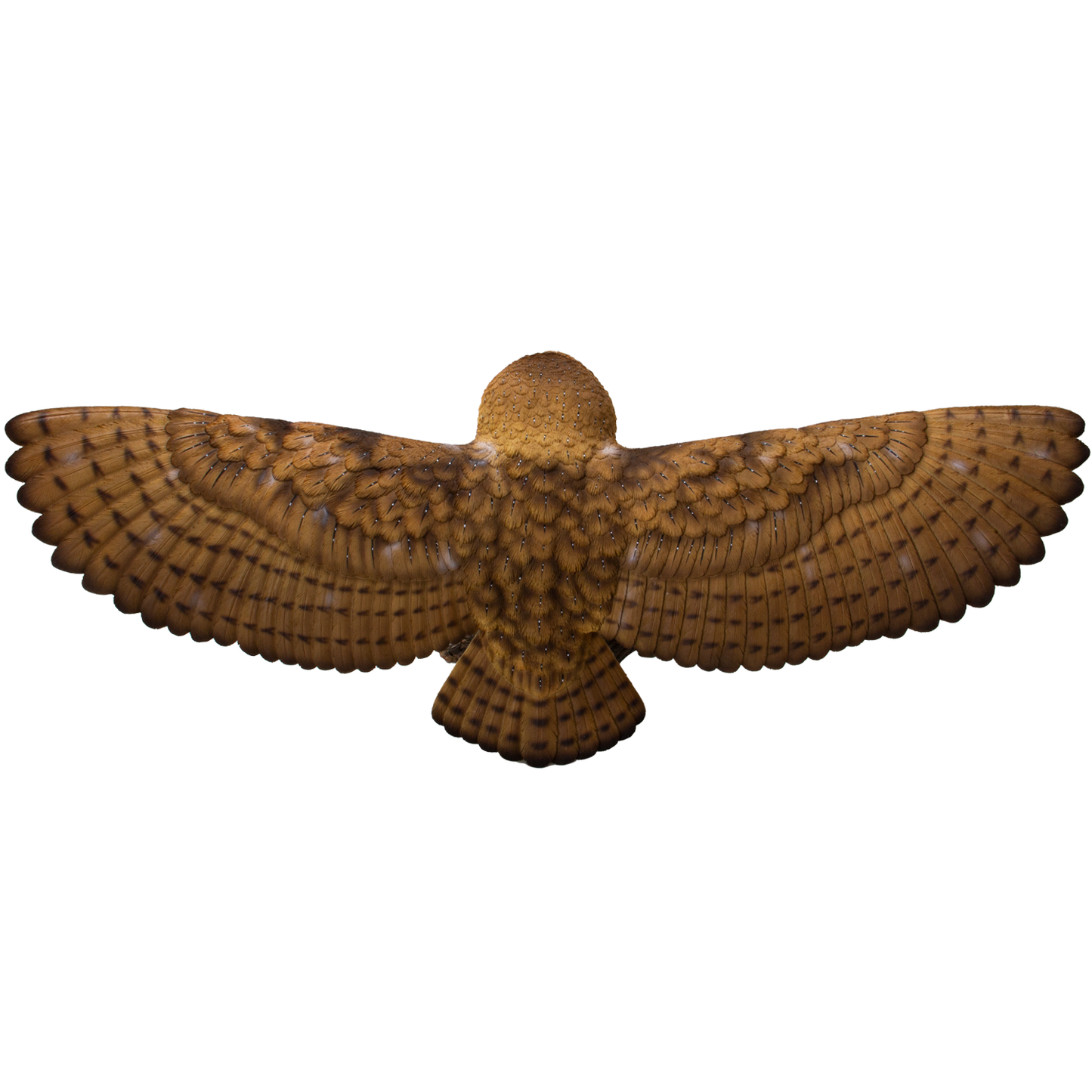 Animal World Flying Open Wing Barn Owl Figurine Statue