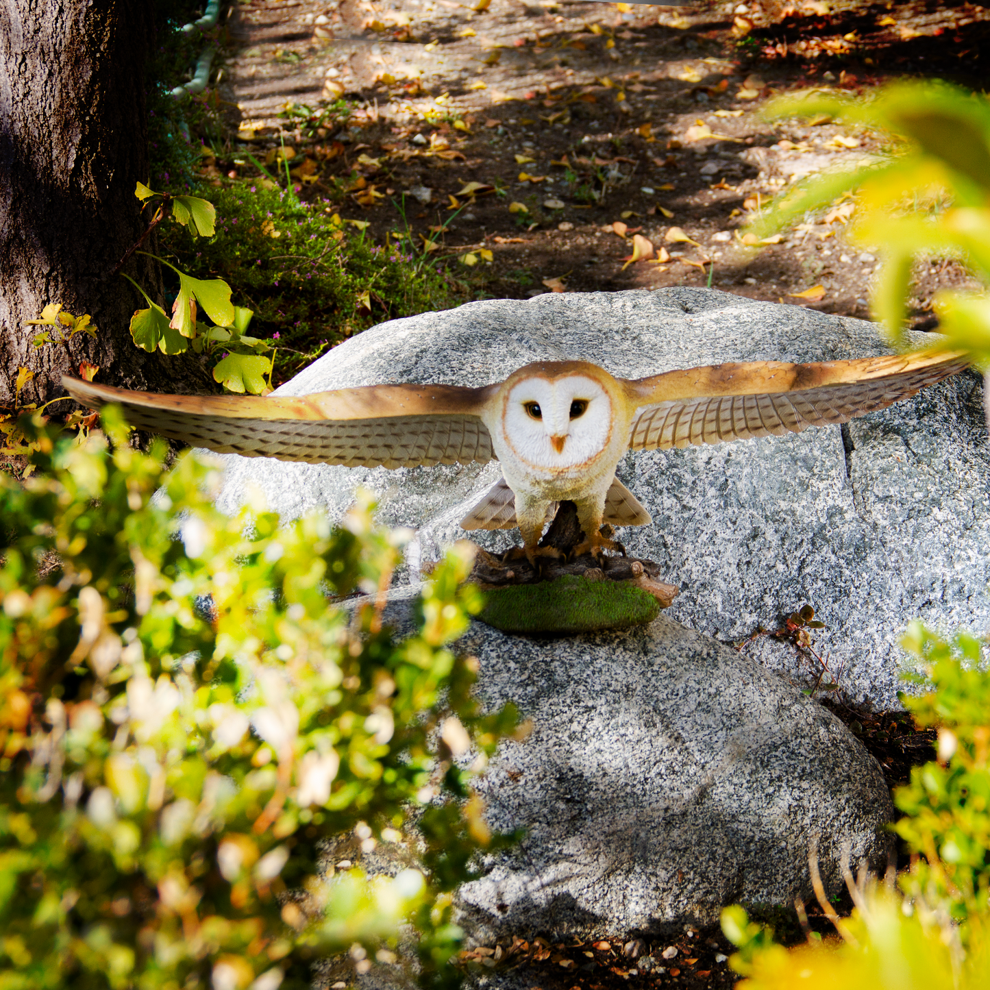 Animal World Flying Open Wing Barn Owl Figurine Statue
