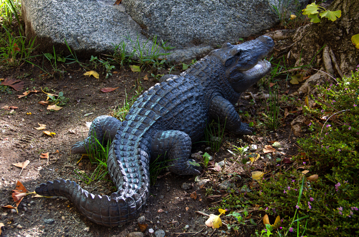 Realistic Animal American Alligator crocodilian Decorative Resin Figurine - 31.5 inches long