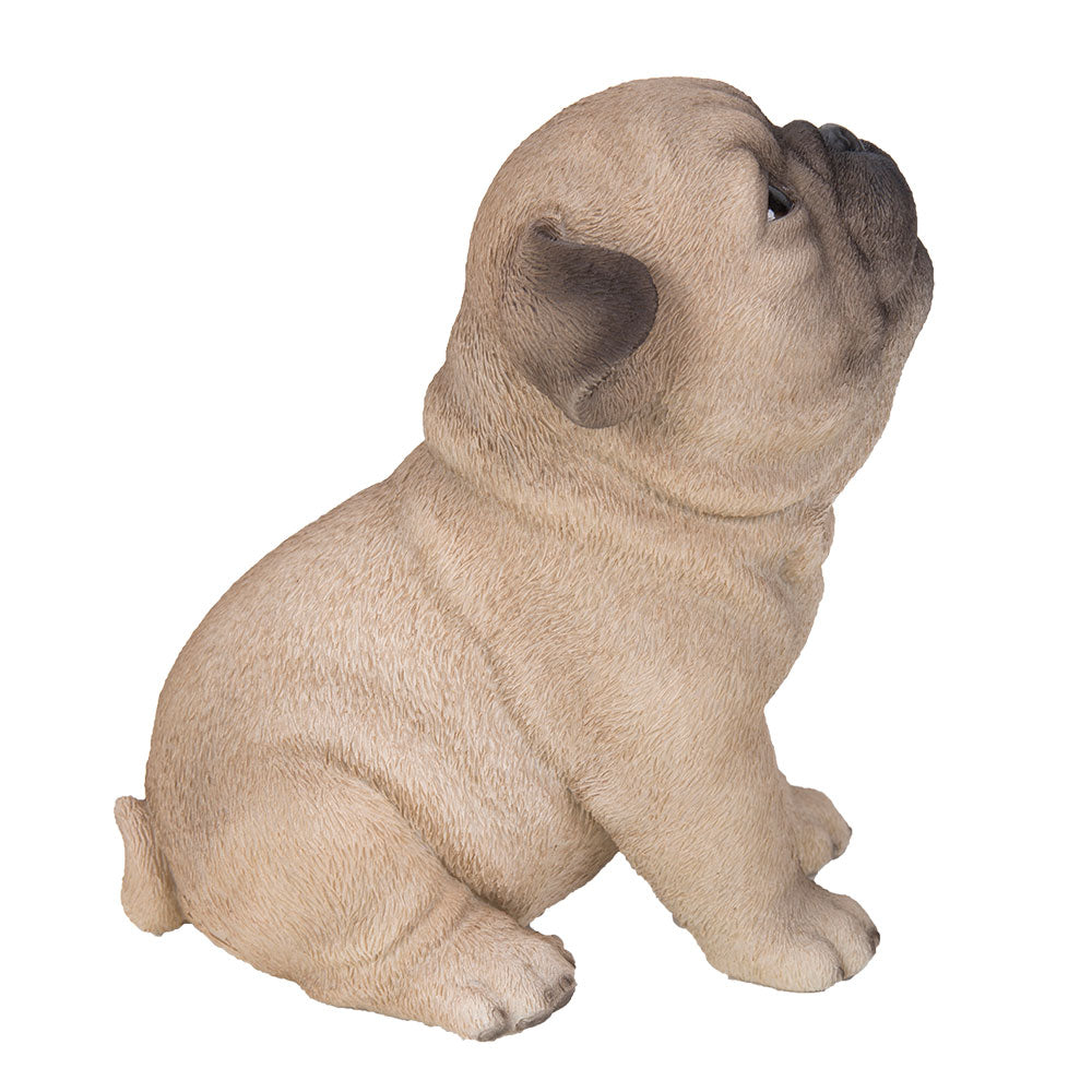 Realistic Animal Sitting Pug Puppy Collectible Home Decor Figurine