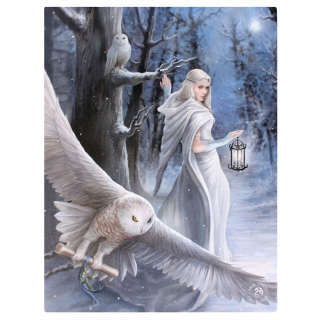 Fantasy World Midnight Messenger Picture Canvas Framed Wall Art Wall Plaque -7.5"W x 9.85"H