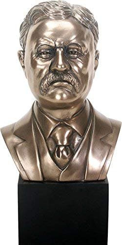 President Theodore Roosevelt Bust