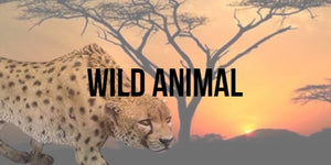 Wild Animal Collection