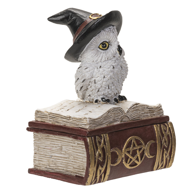Wizard Owl on Spell book Figurine