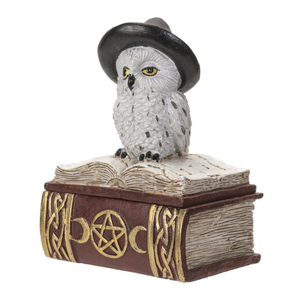 Wizard Owl on Spell book Figurine