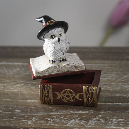 Wizard Owl on Spell book Figurine