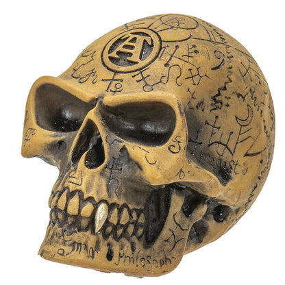 Omega Skull Figurine by Alchemy England