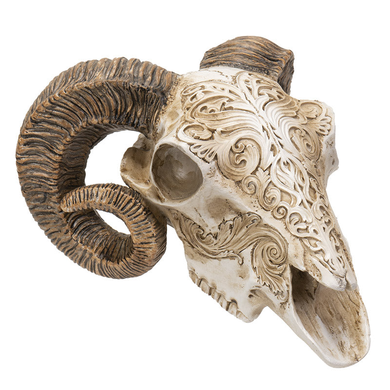 Scrimshaw Ram Skull Figurine by Alchemy England