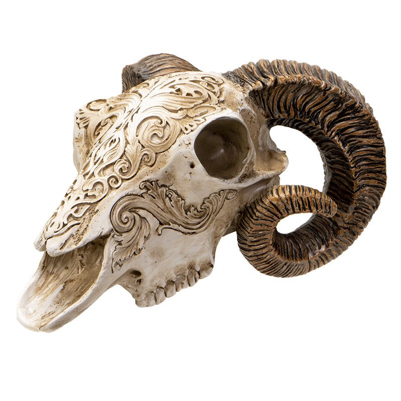 Scrimshaw Ram Skull Figurine by Alchemy England