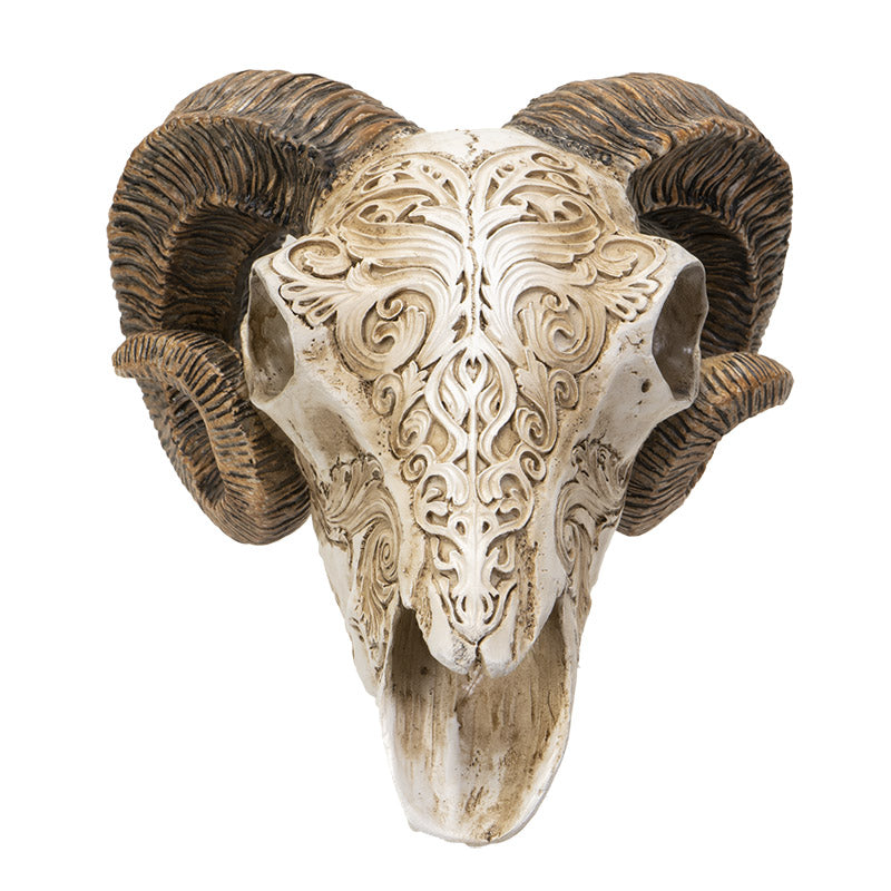 Scrimshaw Ram Skull Figurine by Alchemy England