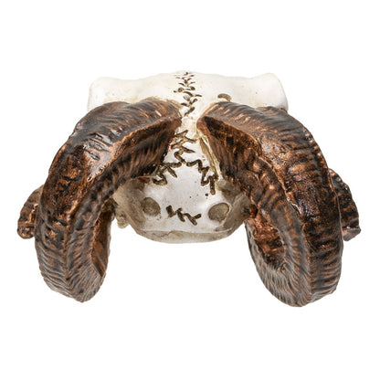 Mini Ram Skull Figurine by Alchemy England