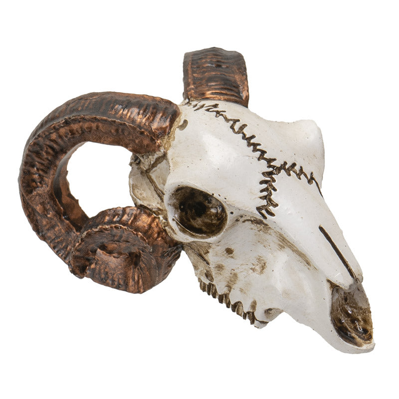 Mini Ram Skull Figurine by Alchemy England