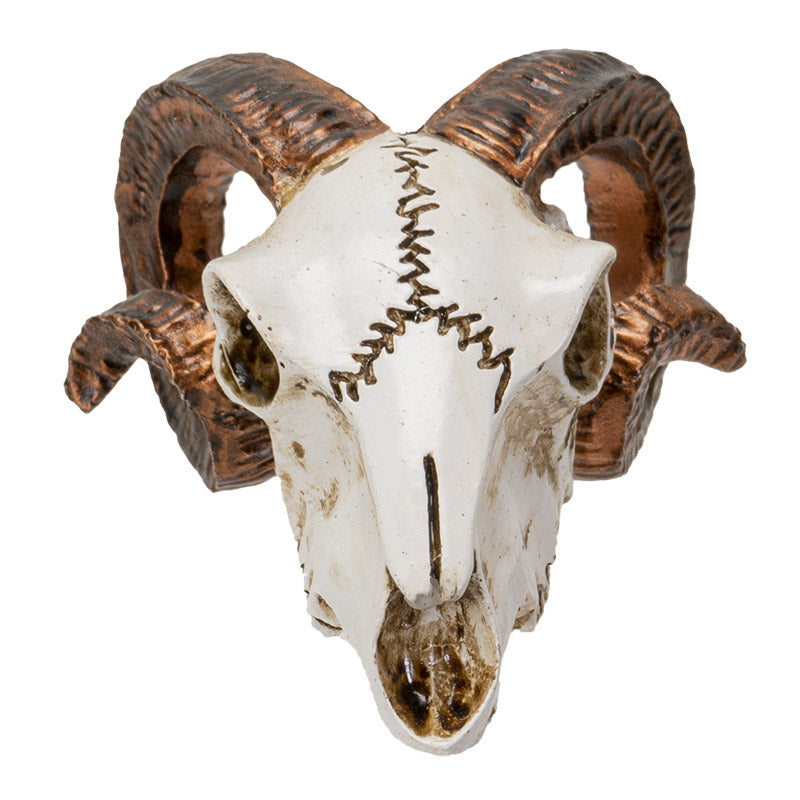 Mini Ram Skull Figurine by Alchemy England