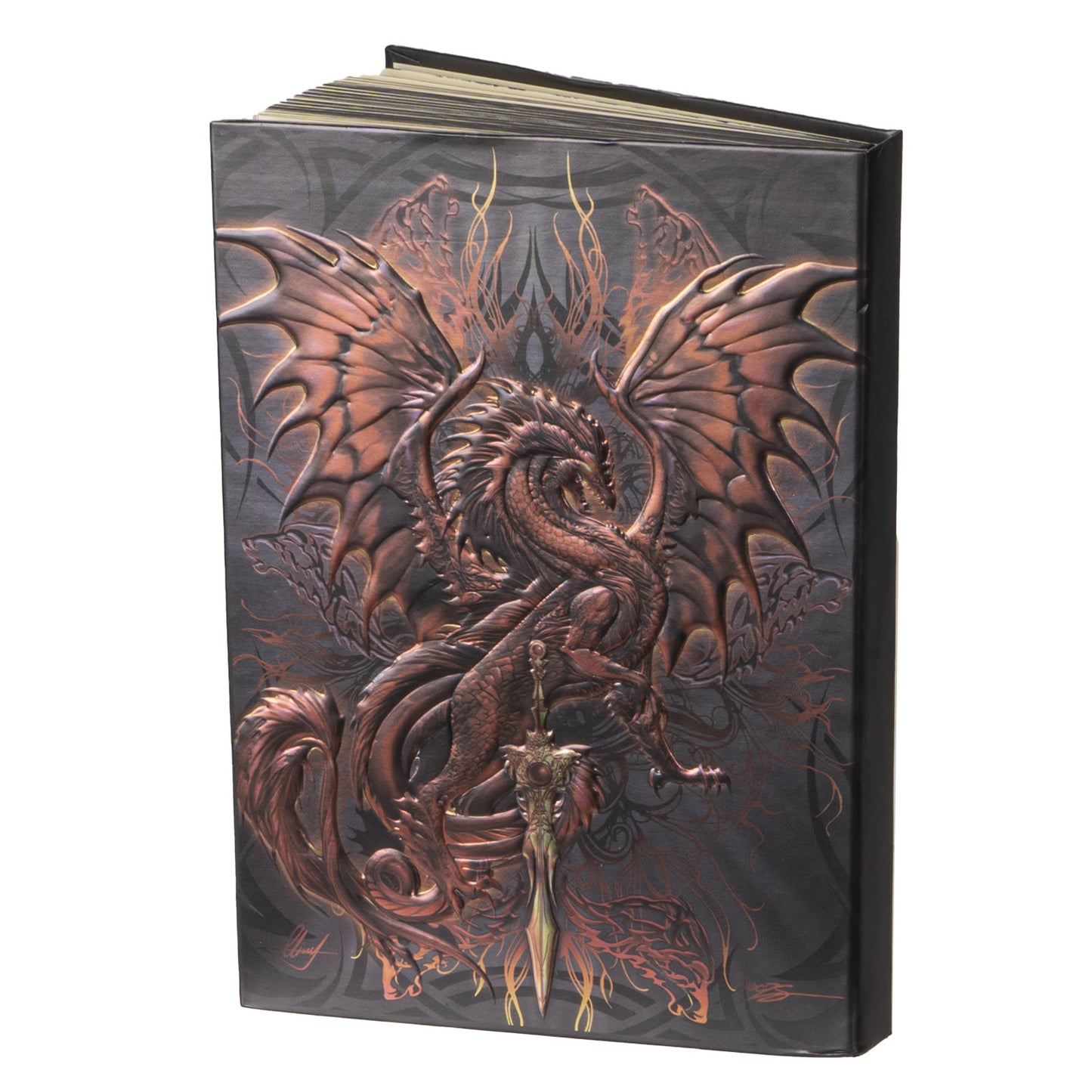 Blood Blade Dragon Writing Journal by Ruth Thompson [hardcover]