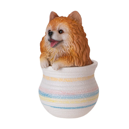 Pomeranian Dog Figurine in Decorative Pot
