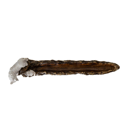 Wolf and Pup 11.22" Long Incense Holder with Woodsy Log