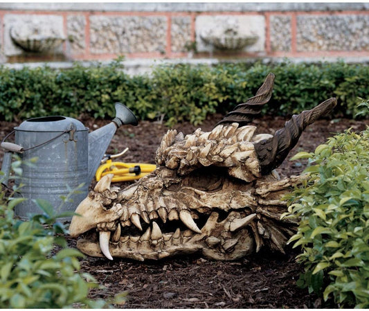 Large Dragon Skull Resin and Hand Painted Statue
