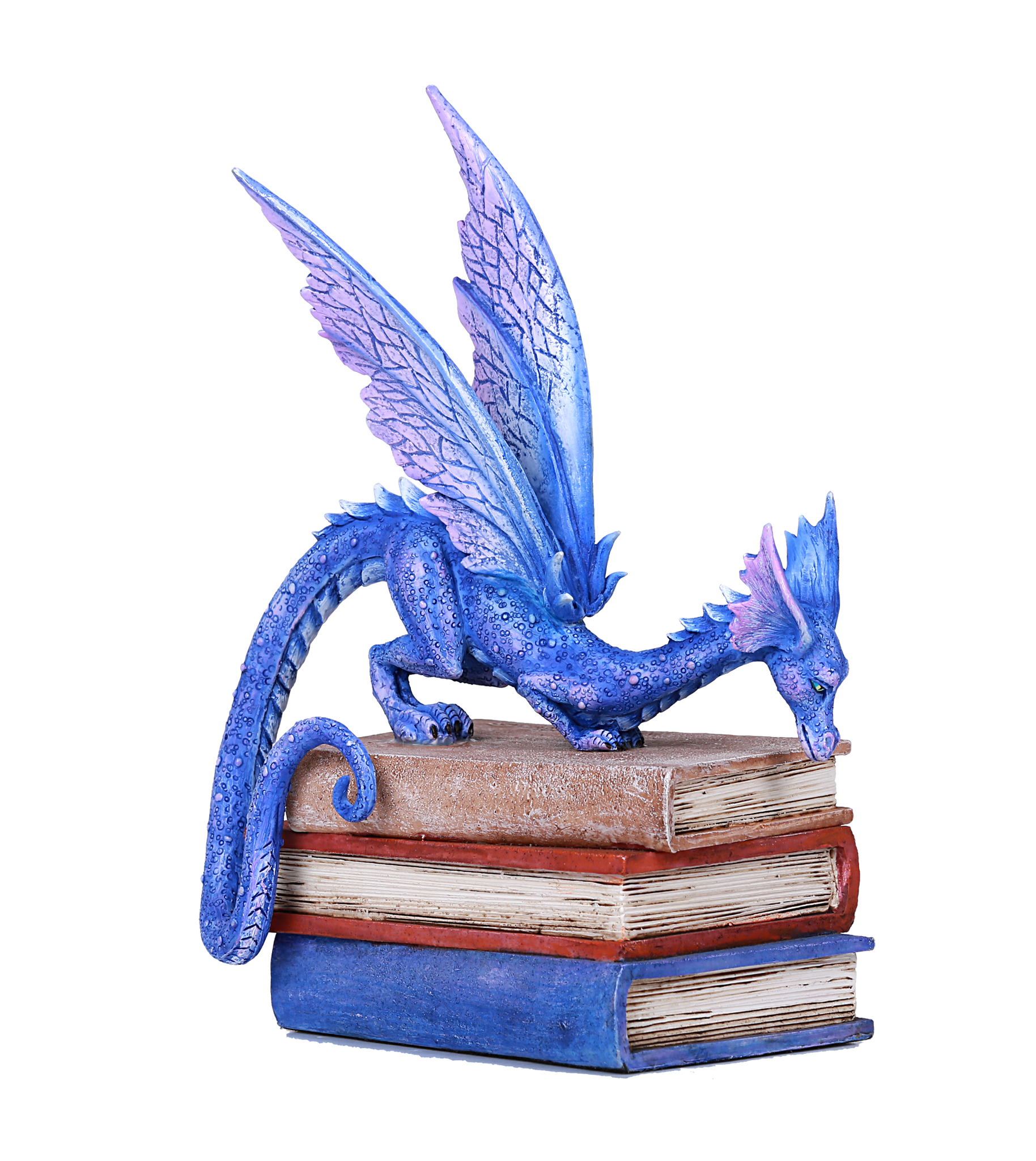 Text Book Dragon Library Book Statue by Amy Brown Studying Mystical Purple Dragon