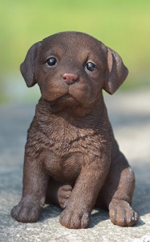 Chocolate Brown Labrador Puppy Glass Eyes Statue Adorable