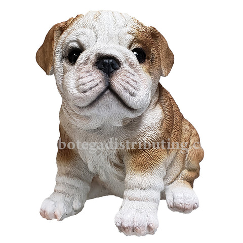 English Bulldog Puppy Glass Eyes Statue Adorable Bully Wrinkles Red White