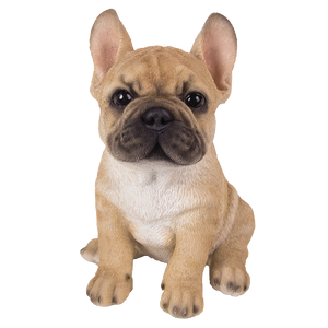 Adorable French Bulldog Pup Life Like Puppy AKC Glass Eyes