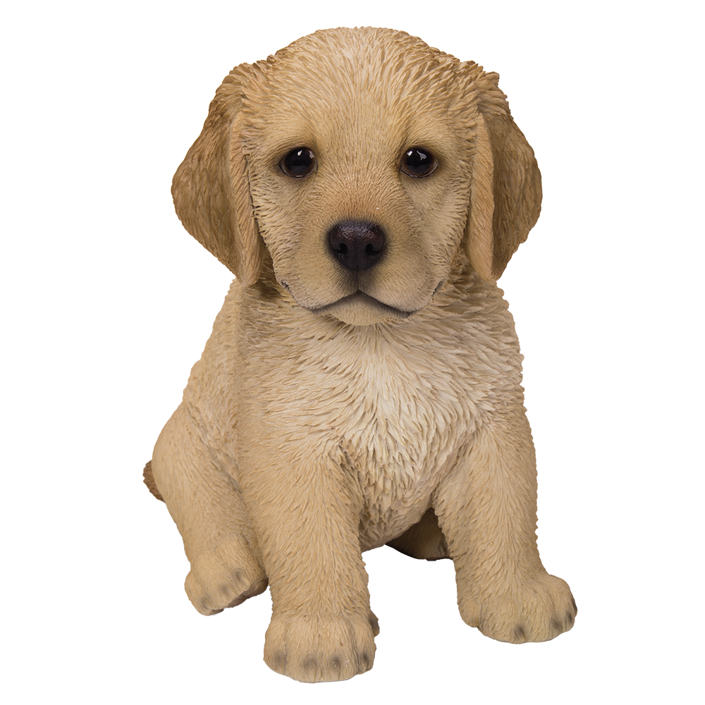 Cute Fluffy Golden Retriever Puppy Statue Life Like Pup Glass Eyes