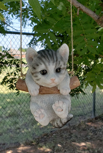 Loving Fluffy Kitten Hanging on a Branch Swing Playful Kitty Glass Eyes