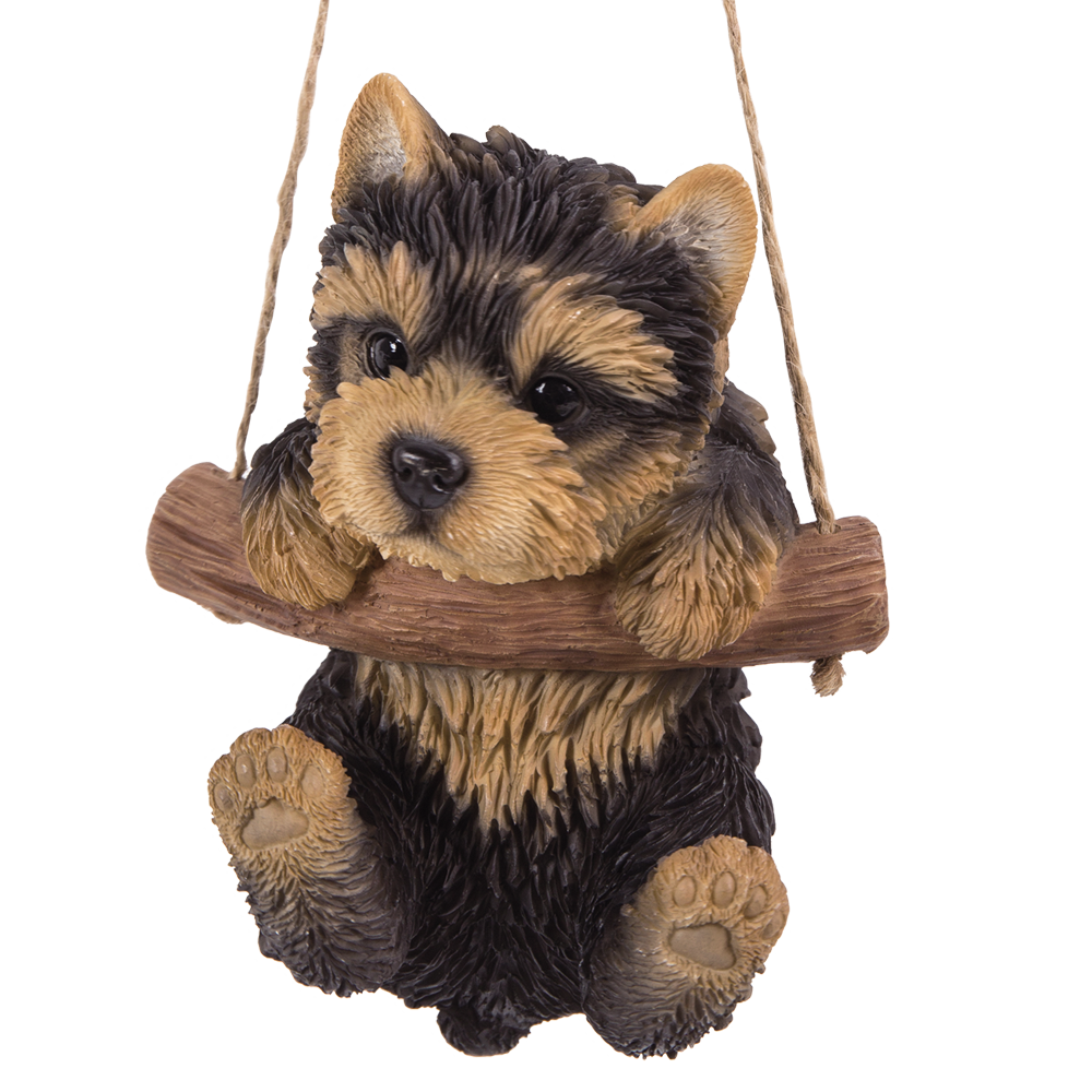 Adorable Yorkie Pup Hanging on a Branch Swing Playful Puppy Glass Eyes