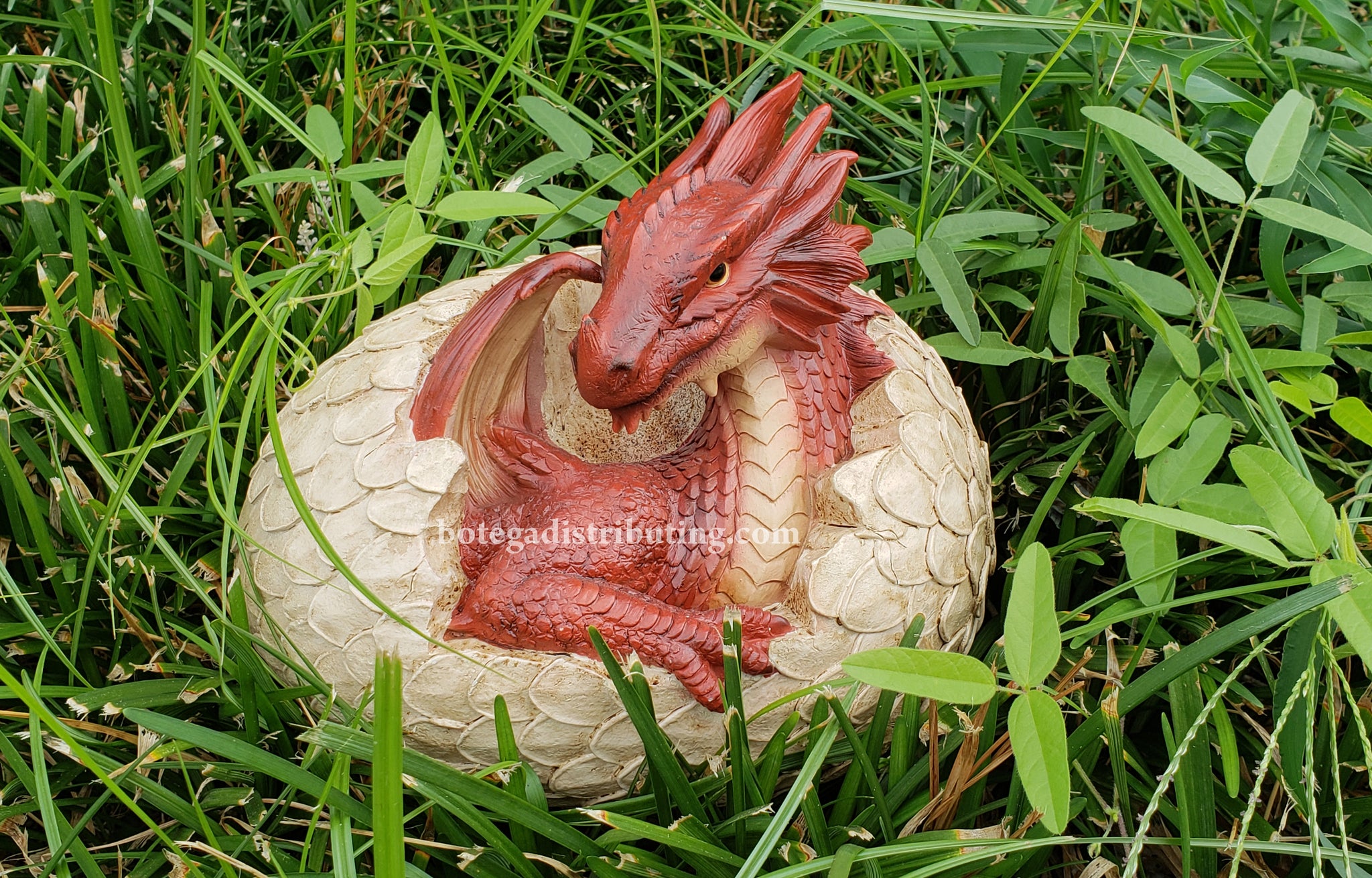Large Red Baby Dragon Hatchling In Egg Statue 9.5" Long Dragon Scales Egg Shell
