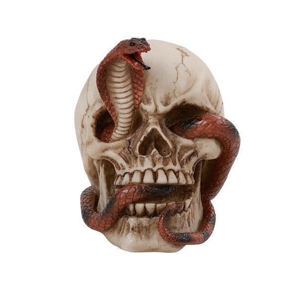 Human Skull With Red Cobra Eye Socket Statue