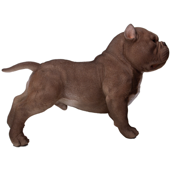 Animal World Realistic American Bully Dog Home Decor Resin Figurine