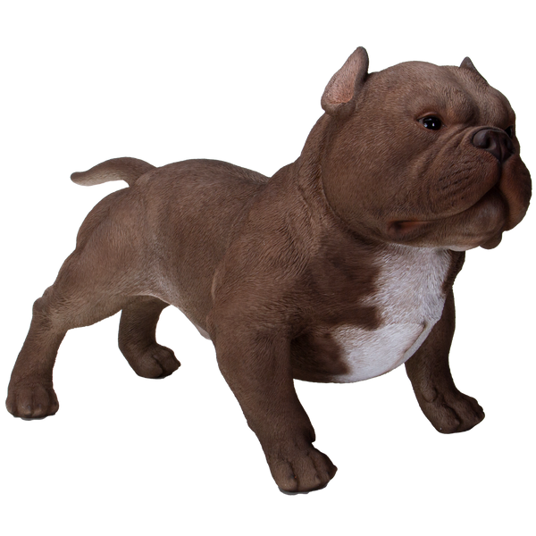 Animal World Realistic American Bully Dog Home Decor Resin Figurine