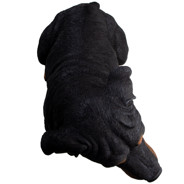 Realistic Large Rottweiler Dog Resin Figurine Statue