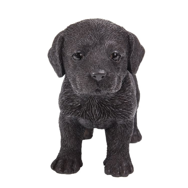 Realistic Chocolate Labrador Puppy Resin Figurine
