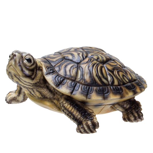 Realistic Yellow Belly Turtle Resin Figurine