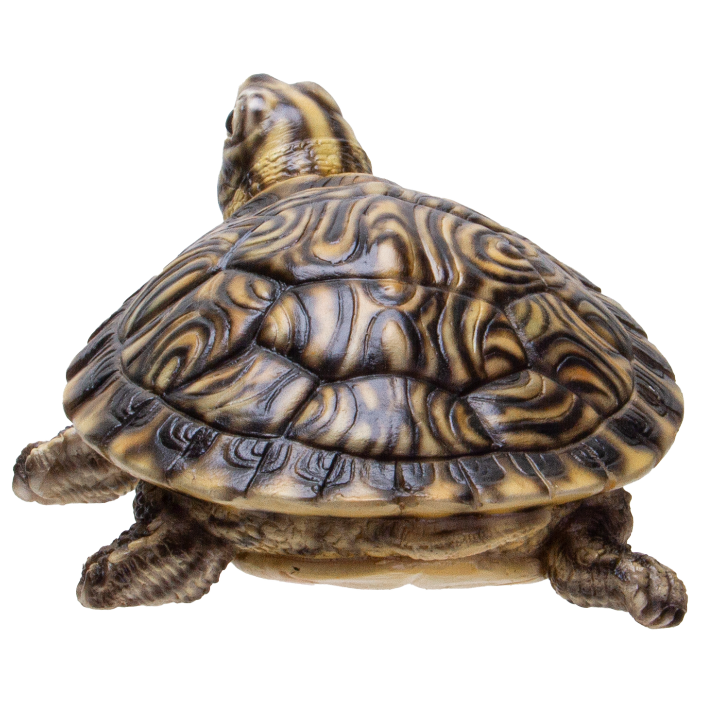 Realistic Yellow Belly Turtle Resin Figurine