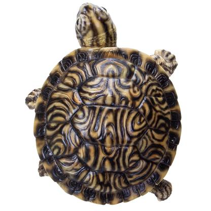 Realistic Yellow Belly Turtle Resin Figurine