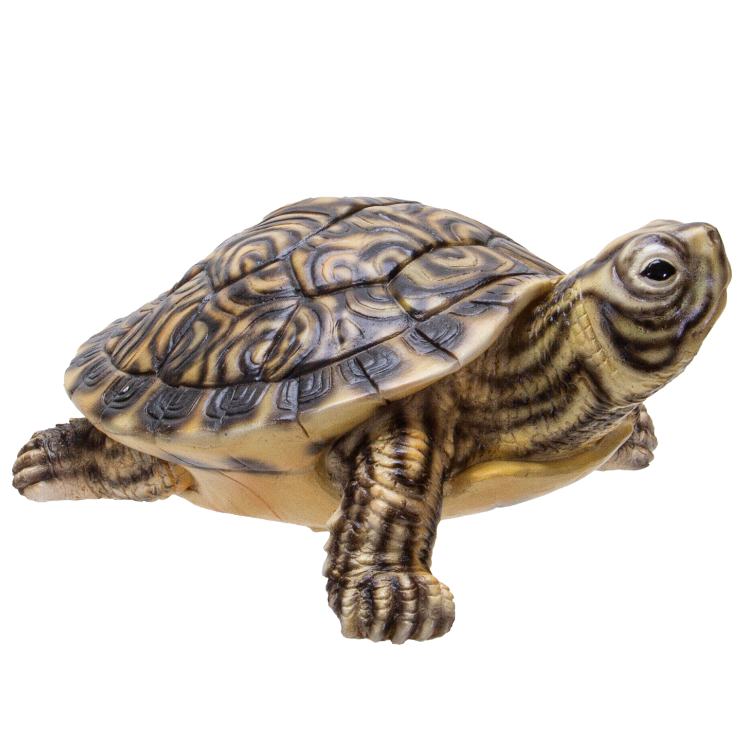 Realistic Yellow Belly Turtle Resin Figurine