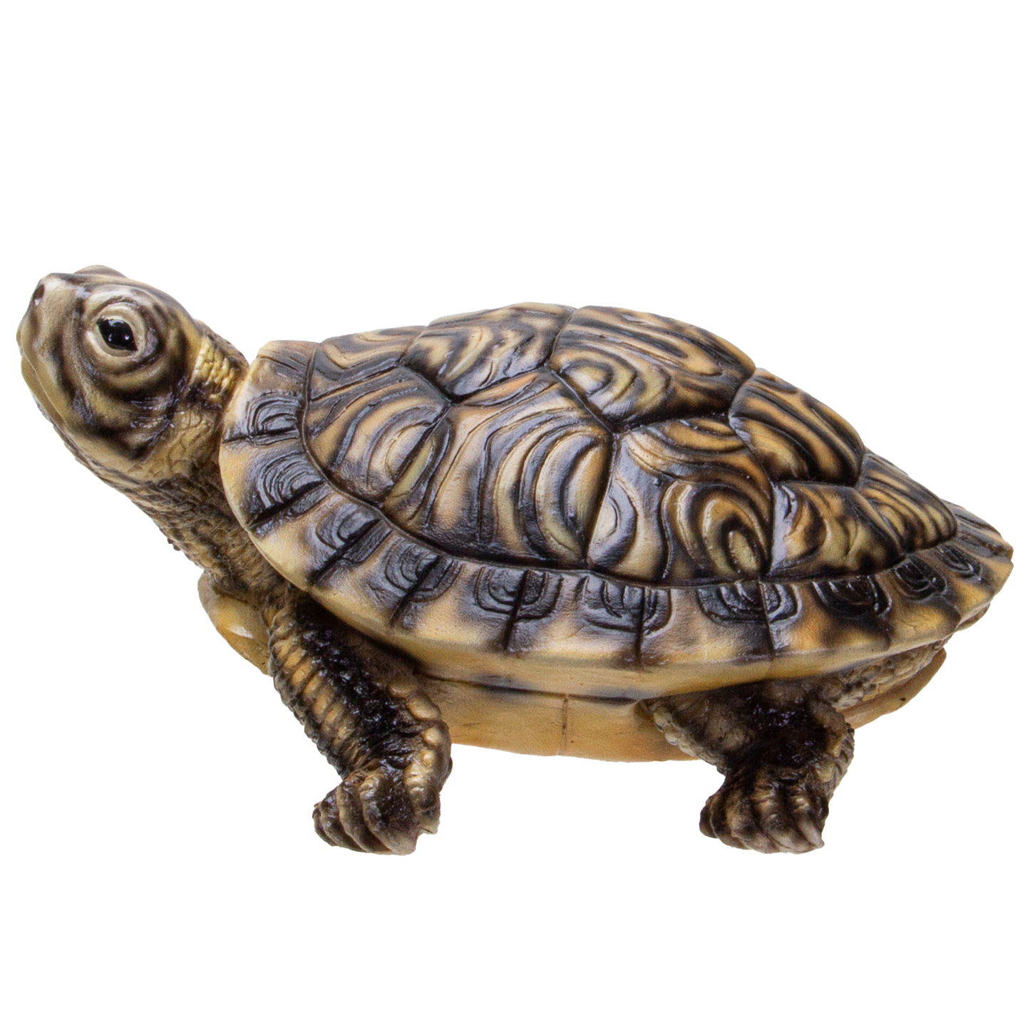 Realistic Yellow Belly Turtle Resin Figurine