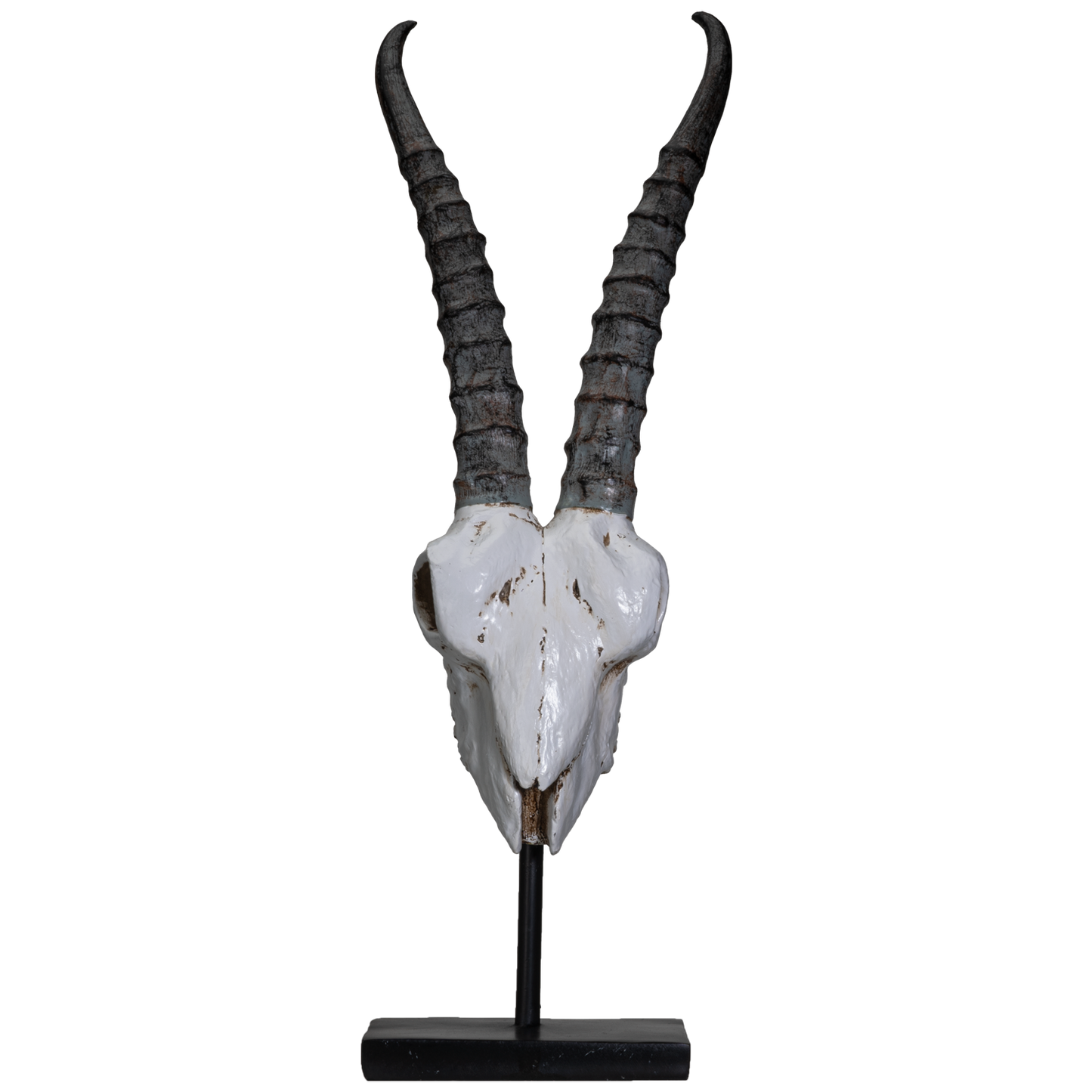 Polystone Springbok Skull with Antler Horns on Metal Stand Home Decorative Accent Faux Taxidermy Animal Trophy 29.5 in