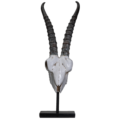 Polystone Springbok Skull with Antler Horns on Metal Stand Home Decorative Accent Faux Taxidermy Animal Trophy 29.5 in