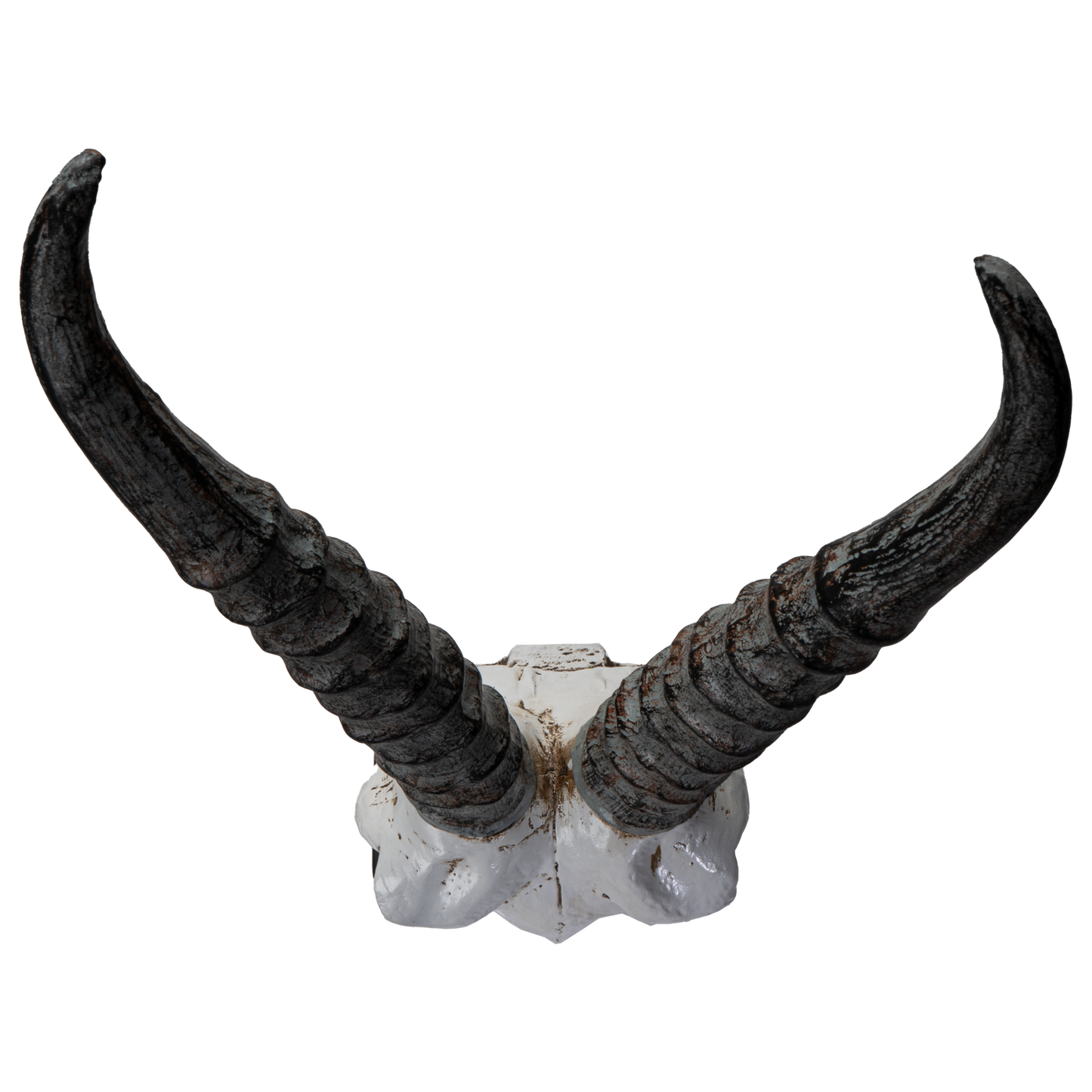 Polystone Springbok Skull with Antler Horns on Metal Stand Home Decorative Accent Faux Taxidermy Animal Trophy 29.5 in