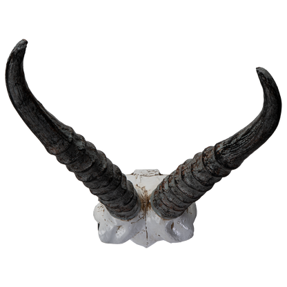Polystone Springbok Skull with Antler Horns on Metal Stand Home Decorative Accent Faux Taxidermy Animal Trophy 29.5 in