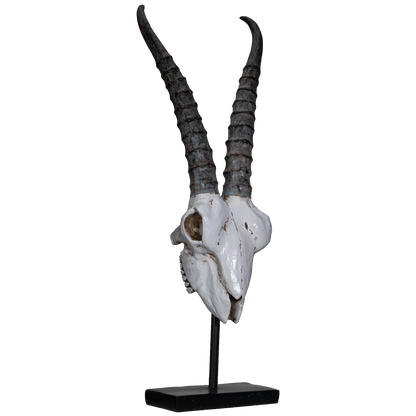 Polystone Springbok Skull with Antler Horns on Metal Stand Home Decorative Accent Faux Taxidermy Animal Trophy 29.5 in