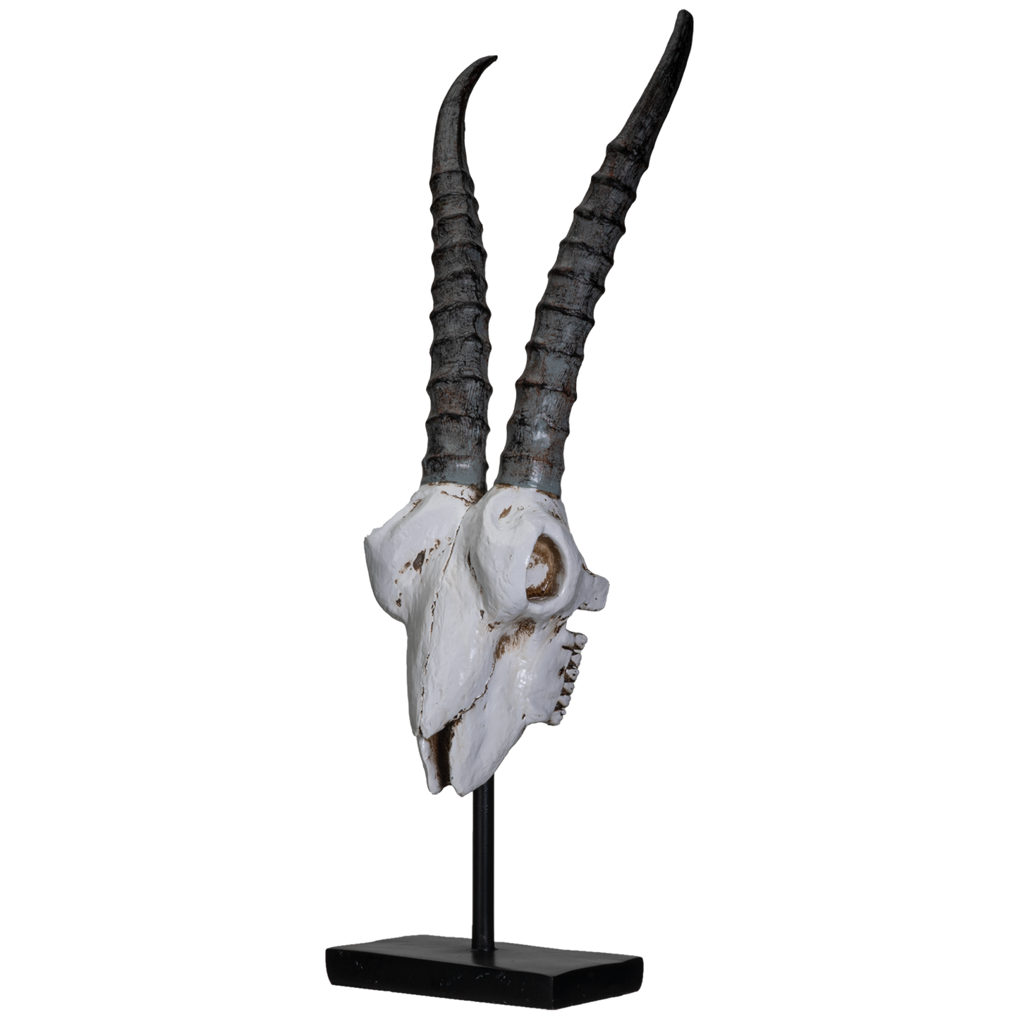 Polystone Springbok Skull with Antler Horns on Metal Stand Home Decorative Accent Faux Taxidermy Animal Trophy 29.5 in