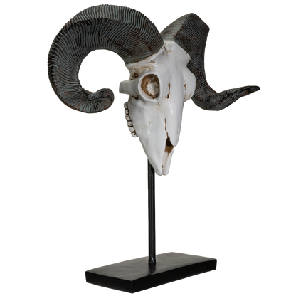Polystone Corsican Ram Skull with Horns on Metal Stand Home Decorative Accent Faux Taxidermy Animal 29.5 in