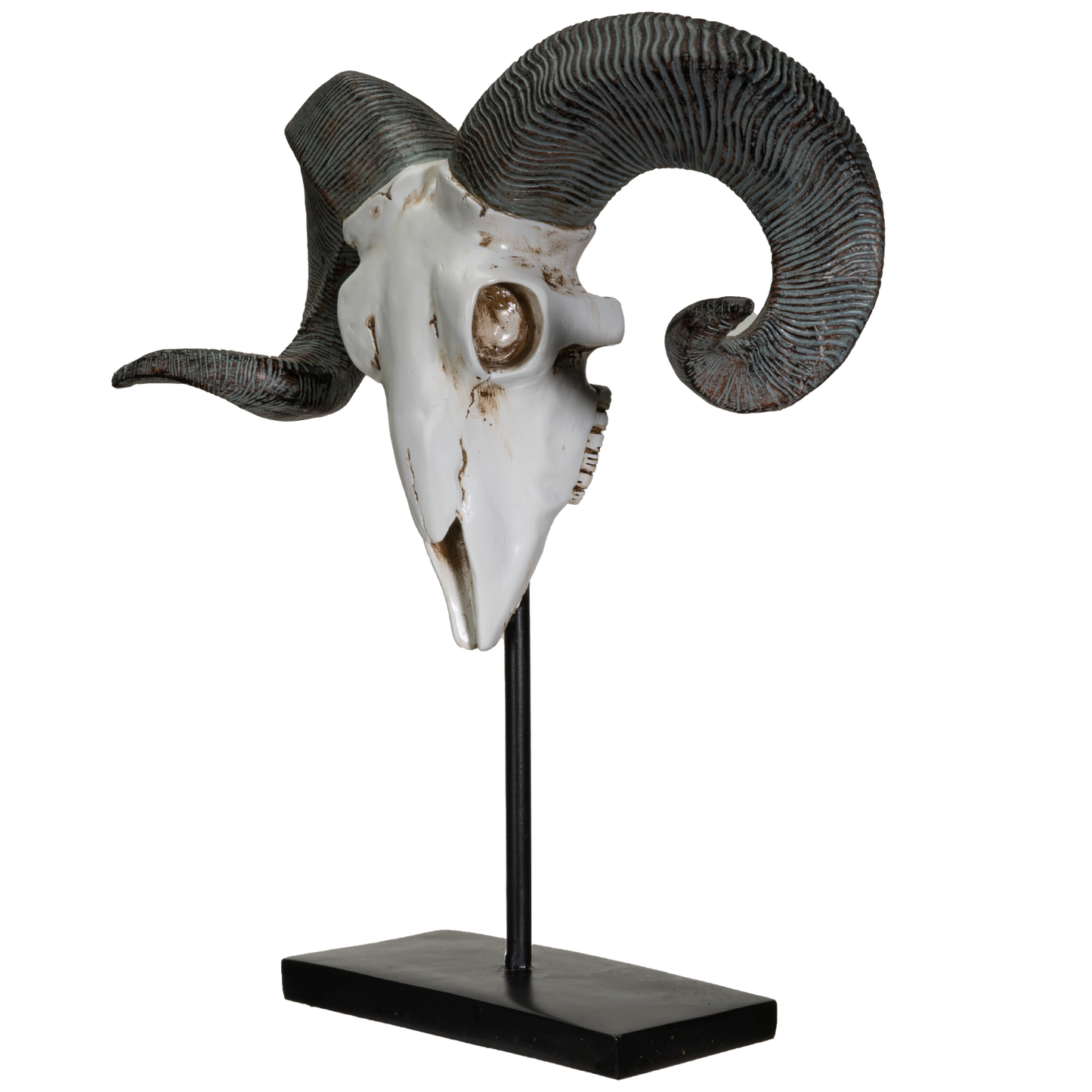 Polystone Corsican Ram Skull with Horns on Metal Stand Home Decorative Accent Faux Taxidermy Animal 29.5 in